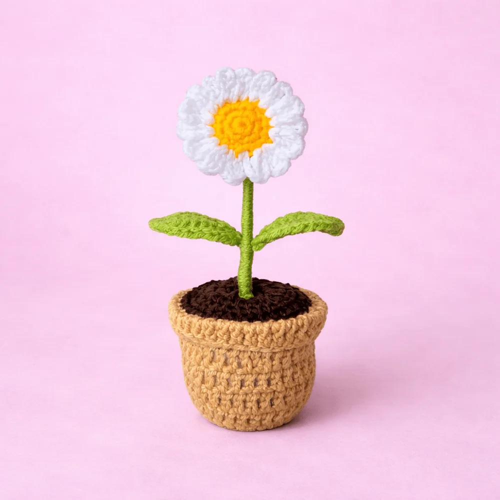 Daisy Flower Pot: handmade crochet by Crochet By Pihu