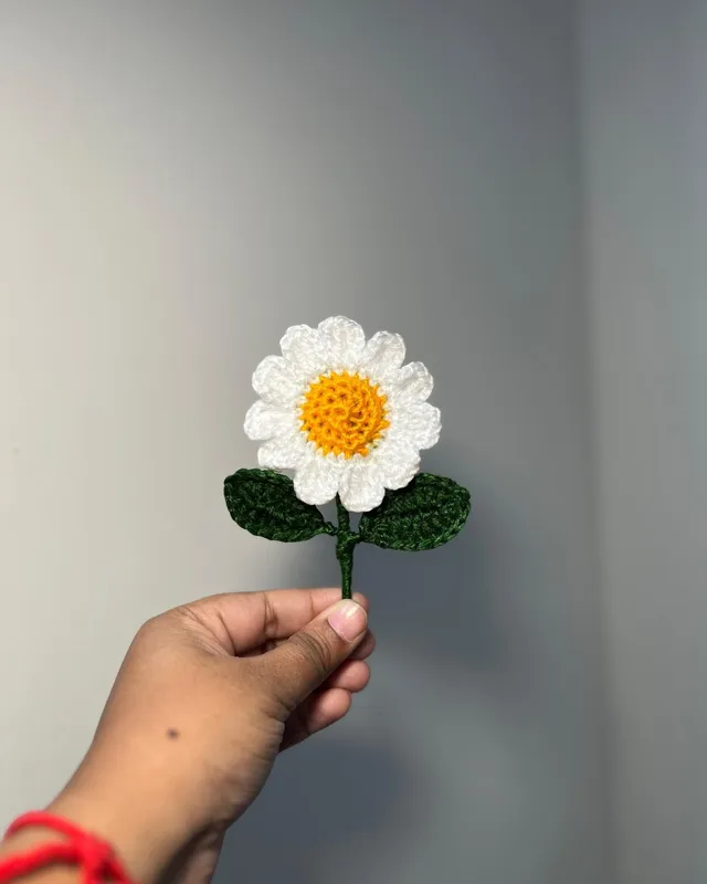 Daisy Fridge Magnet: handmade crochet by Crochet By Pihu