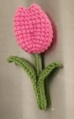 Fridge Magnets (Flower & Fruit Magnets): handmade crochet by Crochet By Pihu