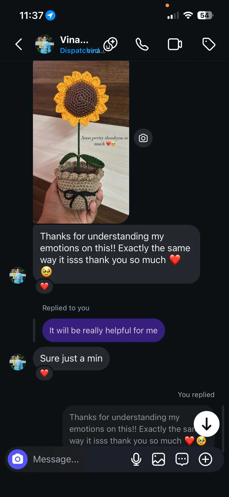 Customer review 11: message from a happy Crochet By Pihu customer